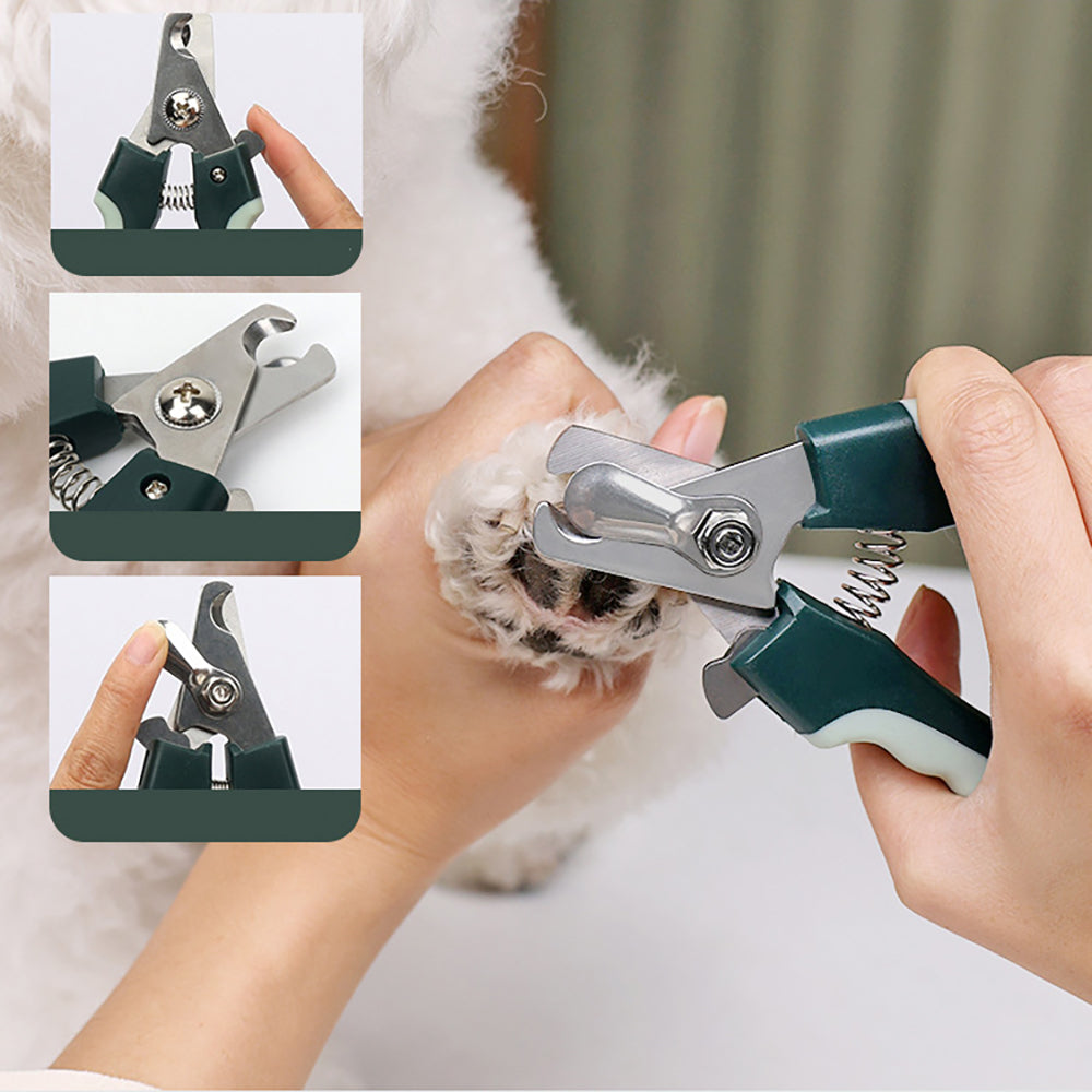 Pet Grooming Kit