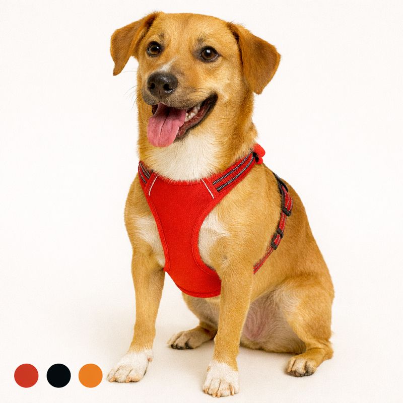 No-Pull Reflective Dog Harness